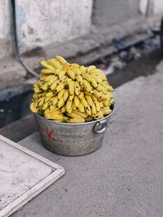 铁桶里的新鲜香蕉