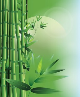 竹子背景