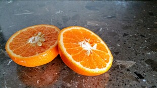 两片鲜橙切片