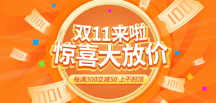 双11惊喜大放价海报
