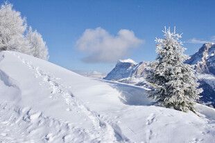高山雪景