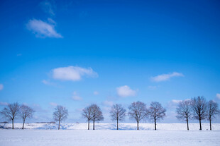 雪野晴空