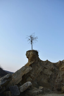 山巅孤树
