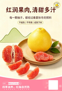 红心蜜柚鲜果宣传海报