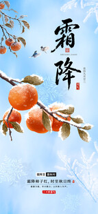 霜降节气柿子主题海报
