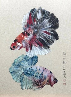 水彩双斗鱼