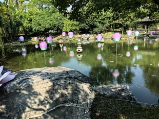 园林池塘水景风光
