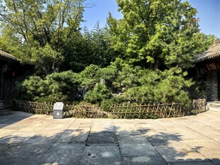 乡村庭院绿树风光