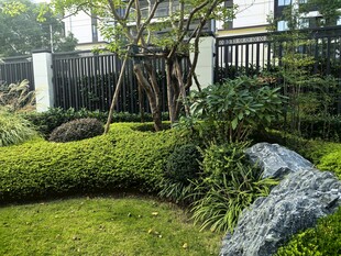 小区庭院绿化景观
