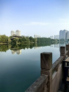 湖畔城市风光