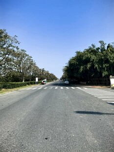 晴朗林荫公路风景