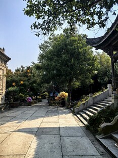 古建园林晴日步道风光