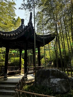 竹林边中式古亭