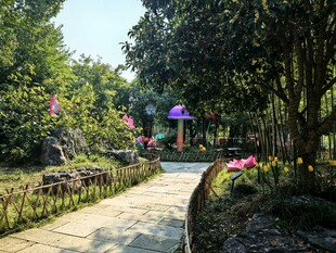 公园林间步道风景