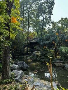 林间溪流自然小景