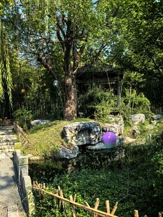 林间小池园林风光