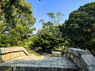 山林石桥晴日风光
