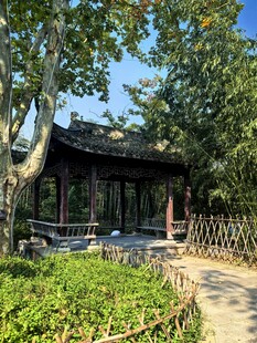 林间古亭清幽景致