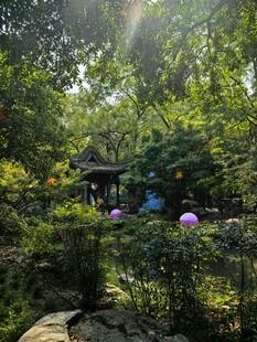 林间幽亭夏日风光