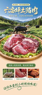 散养土猪肉餐饮宣传易拉宝展架