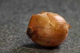 单个黄皮洋葱静物特写