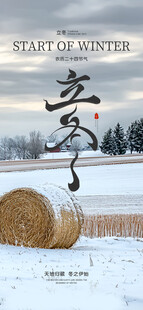 立冬节气雪景创意海报