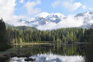 雪山湖泊森林风光