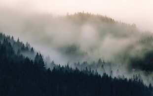 晨雾山林美景