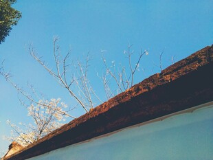 晴空屋檐小景