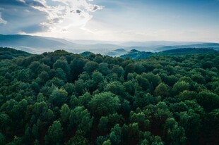 山林远景自然风光