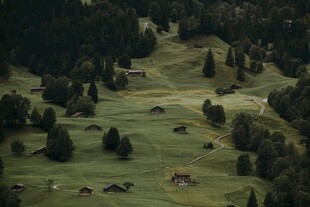 郊野牧场自然风景