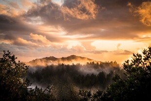 山林日出晨雾美景