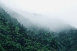 雾绕青山自然风光