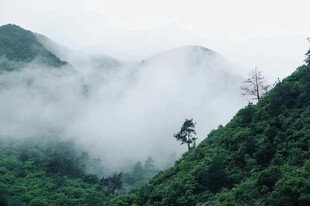雾漫青山山野风光
