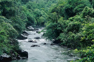 山林间湍急溪流