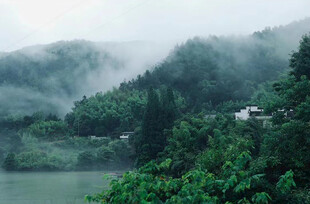 雾锁青山湖畔