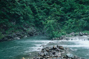 林间山涧溪流风光