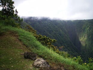 山间郊野步道风光