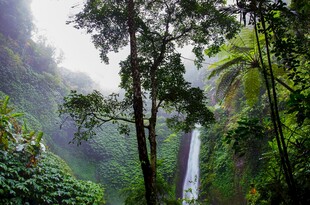 山林瀑布自然景观