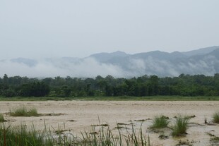 郊野湿地远山风光