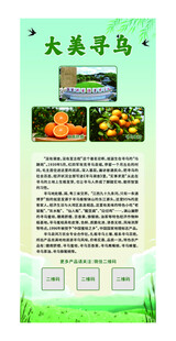 大美寻乌宣传海报