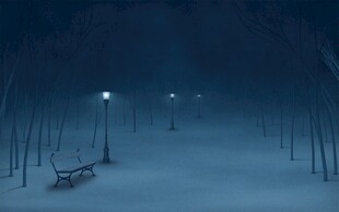 雾夜公园静谧夜景