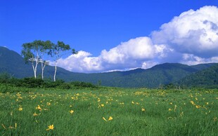 郊野草原自然风光