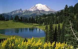 雪山湖畔自然风光