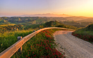郊野公路日落风光
