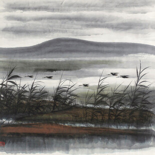 水墨芦荡湖野风光