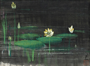 夜色荷塘睡莲