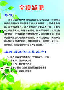 享瘦减肥科普海报