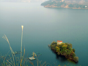 湖中小岛晨景