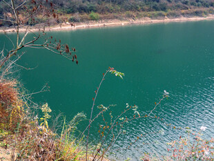 郊野碧绿湖景风光